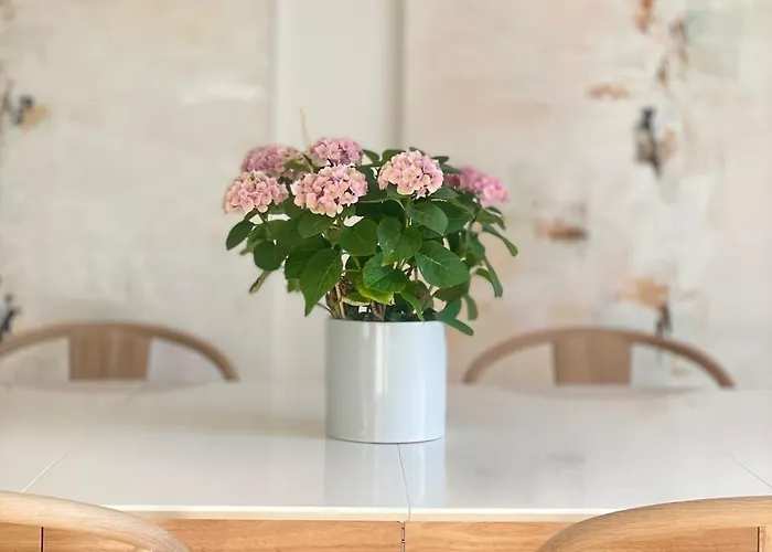 Penthouse Balcony,parking And 2 Bedrooms *